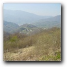 [Click to enlarge image]