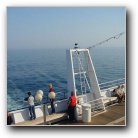 [Click to enlarge image]