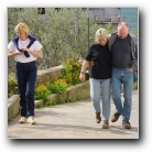 [Click to enlarge image]