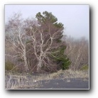 [Click to enlarge image]