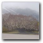 [Click to enlarge image]