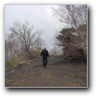 [Click to enlarge image]