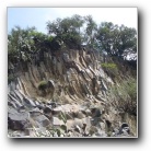 [Click to enlarge image]