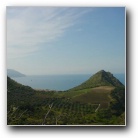 [Click to enlarge image]