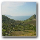 [Click to enlarge image]