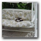 [Click to enlarge image]