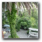 [Click to enlarge image]